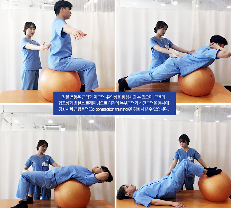 척추 균형 운동시스템